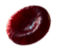 globulo rojo