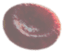 globulo rojo